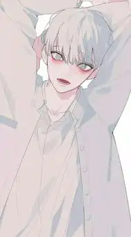 求这个画师的p站id