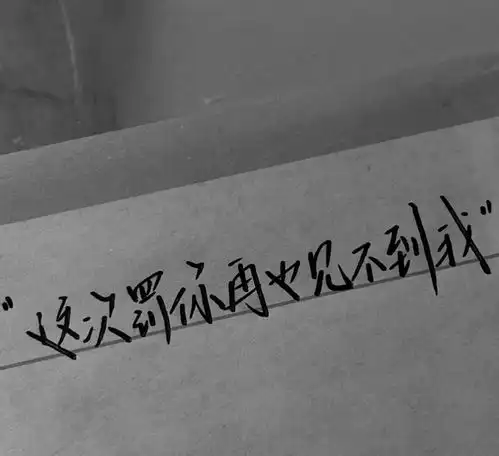 深夜发的高级小众情绪文案
