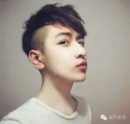 这个发型叫什么名,怎么给理发师说,不拿照片给理发师看
