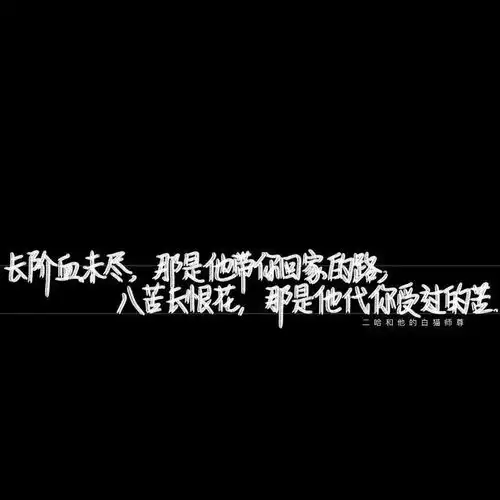 情感语录短句16个意无穷的高级文案,温柔又小众
