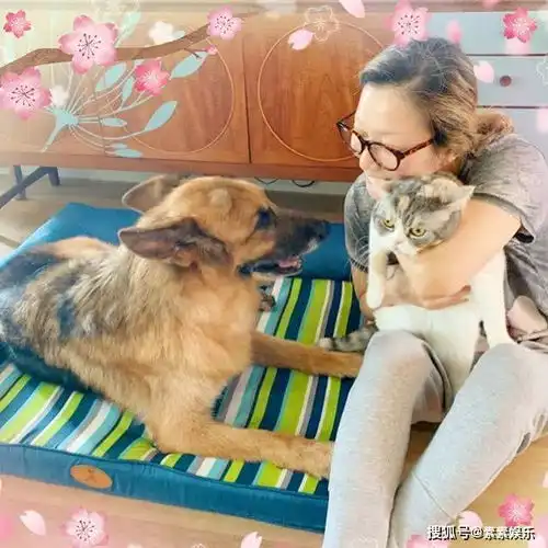 郑秀文和许志安感情出危机女方给爱犬庆生,全程不见许志安露面