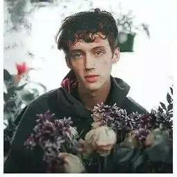theresnothingholdingmebackshawnmendeskhsmacykatewillchamplincover