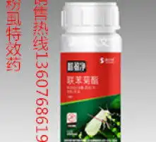 黄页88高清图片