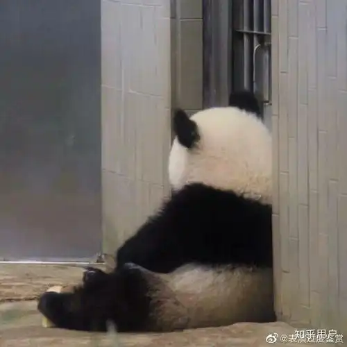 183这个身高究竟是高还是矮
