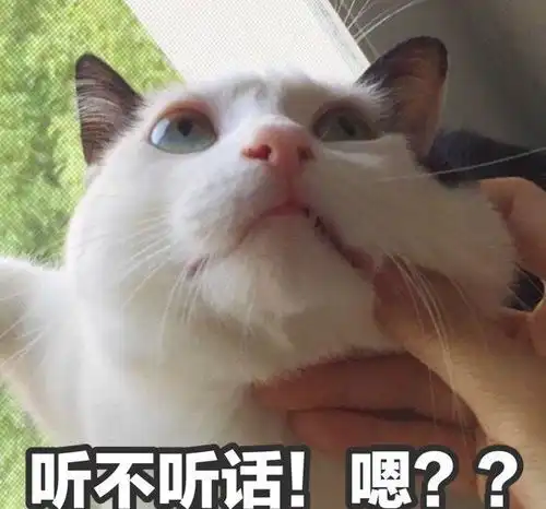 开心一笑有饭馆偷偷售卖河豚,几个小伙子尝鲜
