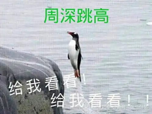 综艺节目声入人心的梅溪湖三十六子之间都有哪些沙雕源泉欢乐表情包和有趣的故事