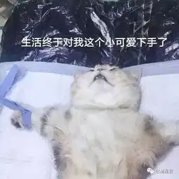 网购买到一双假鞋后...刚把卖家挂到了朋友圈结果他发消息说...