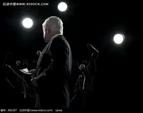 正在演讲的男士图片免费下载编号866187红动网