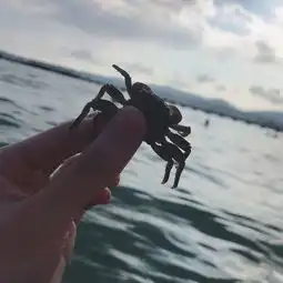 阳光沙滩与你
