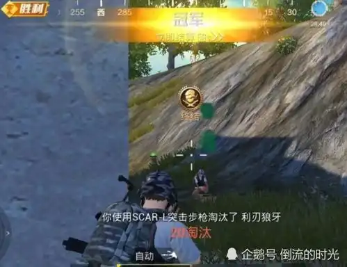 和平精英王者玩家标配的参数设置,学会轻松上王者,一天升段不是问题