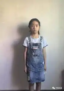 云岭乡有个12岁的小男孩,他的梦想是建一间新房子让父亲住