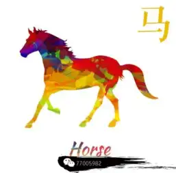 12月衣食无忧,富贵吉祥,还爱骄傲的三大生肖男
