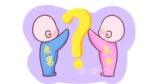 日为啥现在男孩的出生率高,并不是重男轻女,这4个原因耐人寻味