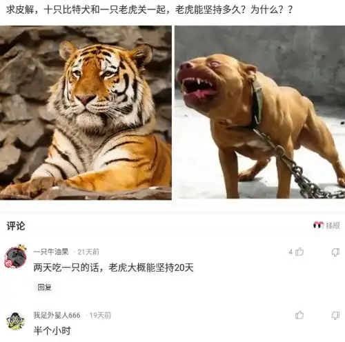 神回复来聊,开封府展昭,是一名四品的带刀护卫那么护卫能做到四品吗腾讯新闻
