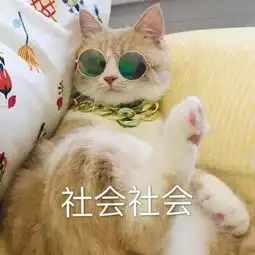 160402福州漫展表演全程伦桑萧忆情kb哦漏
