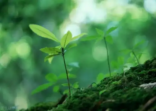 愿山河无恙,你我如初,归来仍是少年扬起思想的巨帆爱因斯坦伽利略亚里士多德网易订阅