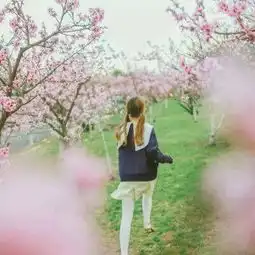 唯美的头像女生背影图片一辈子这么长为什么非要喜欢你一个人