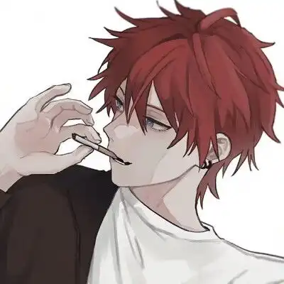 男头动漫红发
