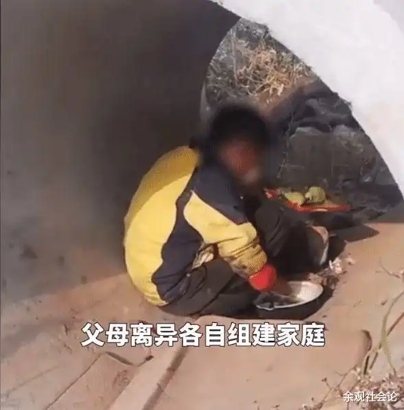 父母离异又各自再婚,13岁男孩不堪被打离家出走睡桥洞捡菜叶度日