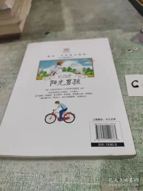 阳光男孩感动一生的纯美阅读励志人生系列好心态价值百万
