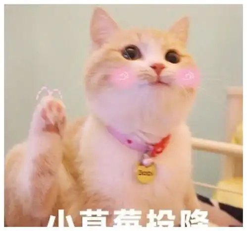 幽默笑话高中时期,你会经常看见一帮男生人手一双筷子去上厕所
