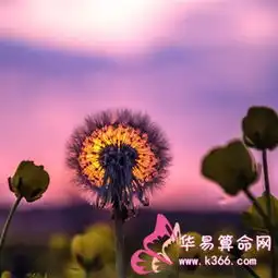 天秤座女生让人不得不爱的原因
