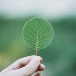 好看的风景头像大全我们会坚持不懈的一爱到底