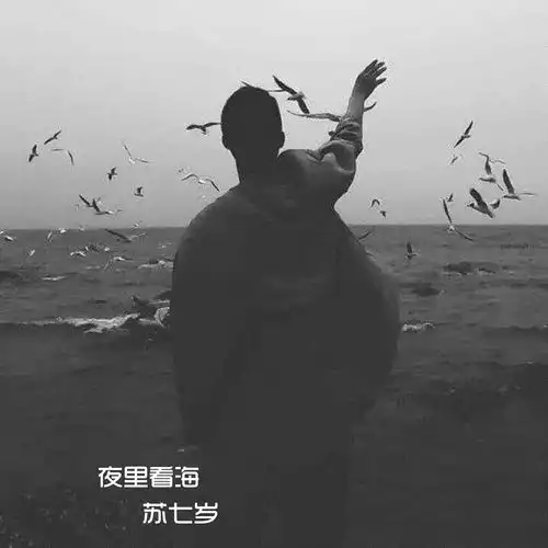 哒哒滴滴苏七岁高音质在线试听哒哒滴滴歌词歌曲下载酷狗音乐
