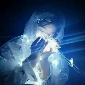 求灯系的女生头像,列如下面的两张,要12张图,