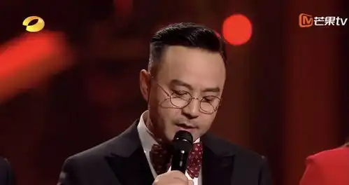 双十一超拼夜,芒果台主持人的能力排名一目了然,汪涵进不了前三