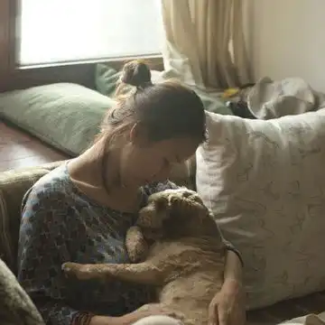 我的收藏