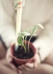 励志有正能量的哲理名言男生签名共赏不要等待好事降临