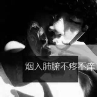 北觅照片北觅相册大全yy官方
