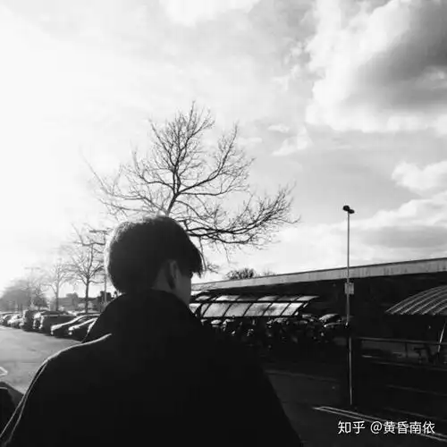 网易云音乐有哪些热评触动你的内心
