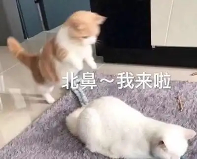 r收藏夹