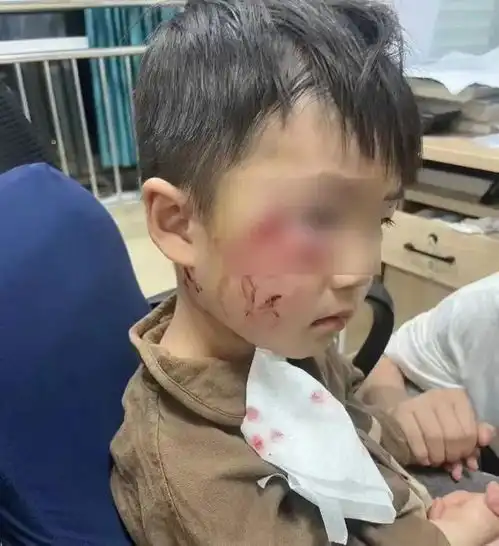 满飞机的人都在扇扇子航班机舱内30多度不开空调国航和机场回应