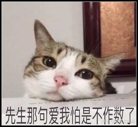 为什么女孩子明知道了解男朋友前任会难过,还是想要了解