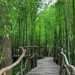 临沂红石寨旅游度假区攻略,红石寨旅游度假区门票游玩攻略地址图片门票价格