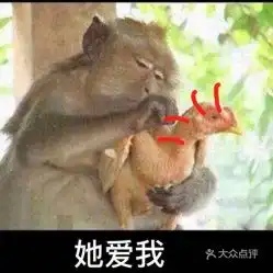 电话,地址,价格,营业时间郫都区美食