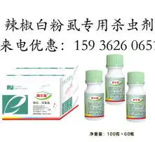 黄页88高清图片