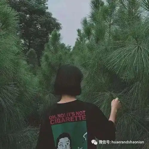 女孩和春天

