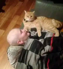 男孩救了橘猫,而在男孩罹患血癌它不离不弃守护着