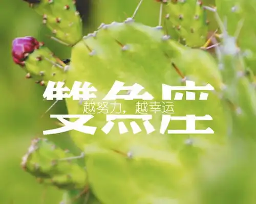 双鱼男还爱前任会有什么表现
